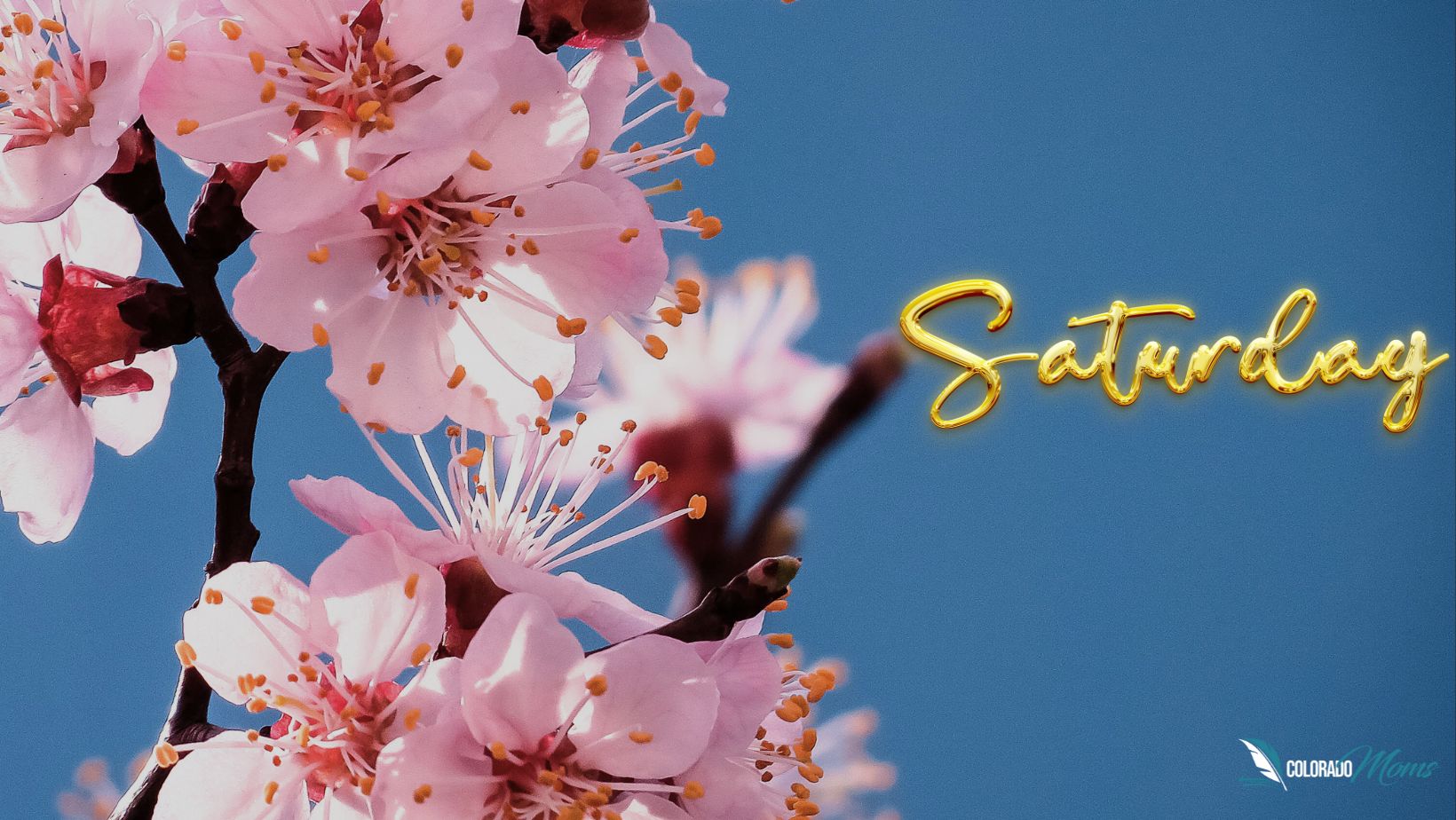 Find Motivation with Strength Saturday Inspirational