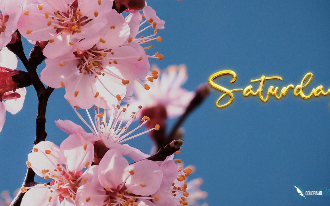 Find Motivation with Strength Saturday Inspirational Quotes