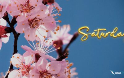 Find Motivation with Strength Saturday Inspirational Quotes