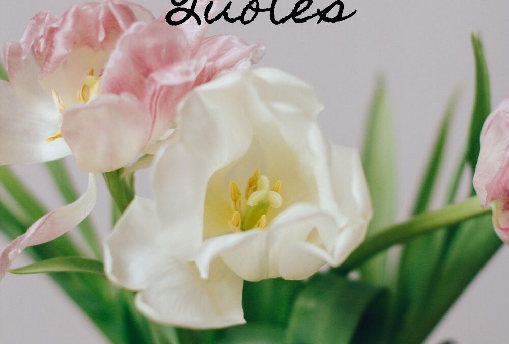 Boost Your March with Inspiring Quotes – Find Motivation for the Month Ahead