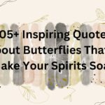 inspirational butterfly quotes