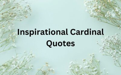 Inspirational Cardinal Quotes