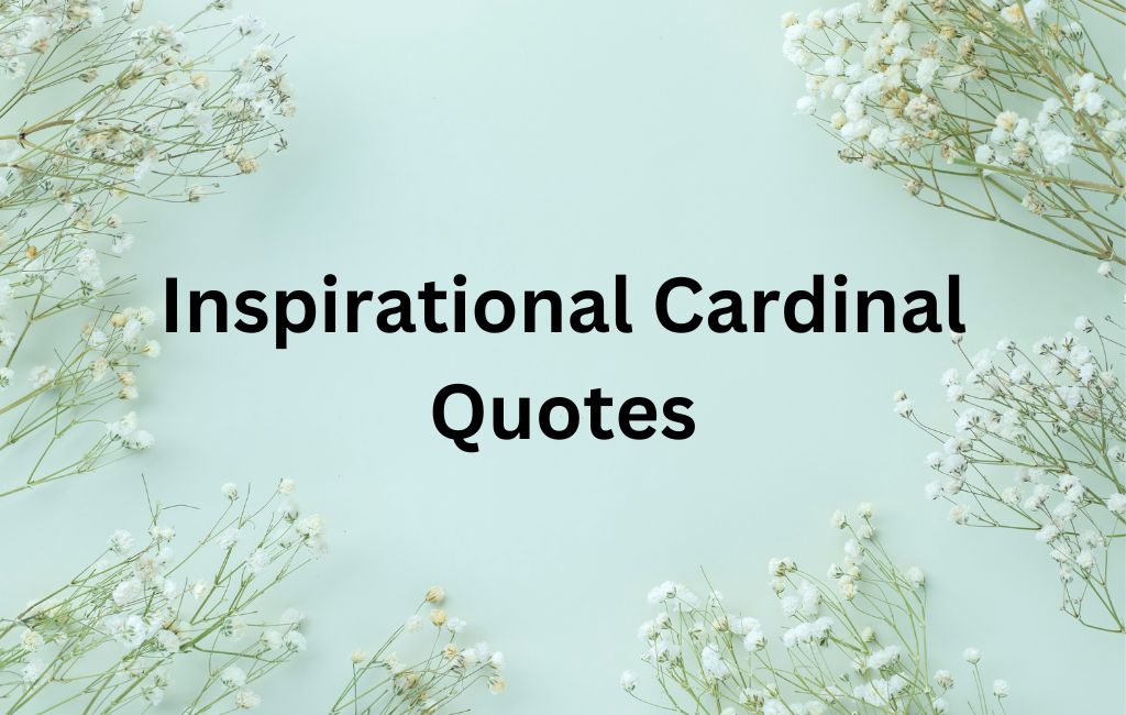 inspirational cardinal quotes