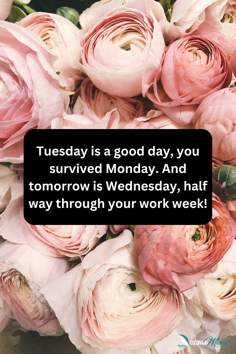 Happy Inspirational Tuesday Quotes And Sayings Colorado Moms Happy Inspirational Tuesday Quotes And Sayings Colorado Moms