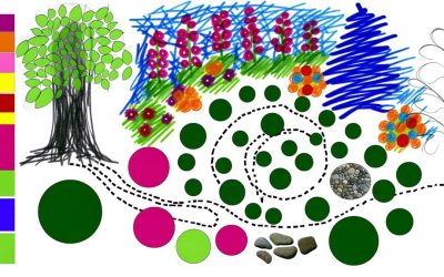 A Step By Step Guide To Your Garden Design Plans Layouts
