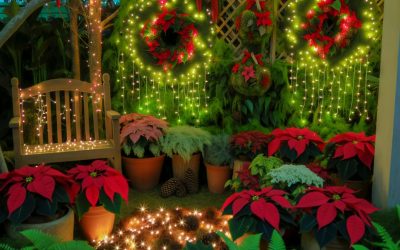 Best Holiday Gardening And Decor Ideas